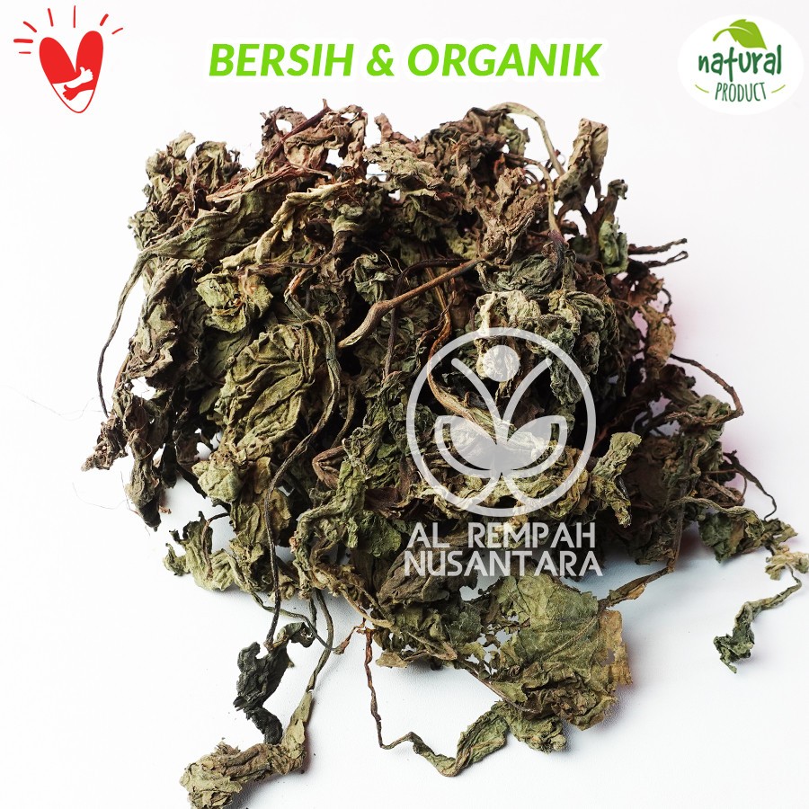 Insulin Leaf Dried Leaves 50g Herbal Infusion Daily Ritual Caffeine-Free Aroma
