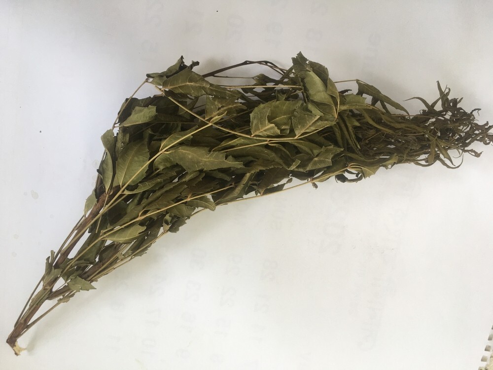 Premium Dried Neem Leaves – Natural Herbal Remedy & Aromatic Flavor – 100% Pure