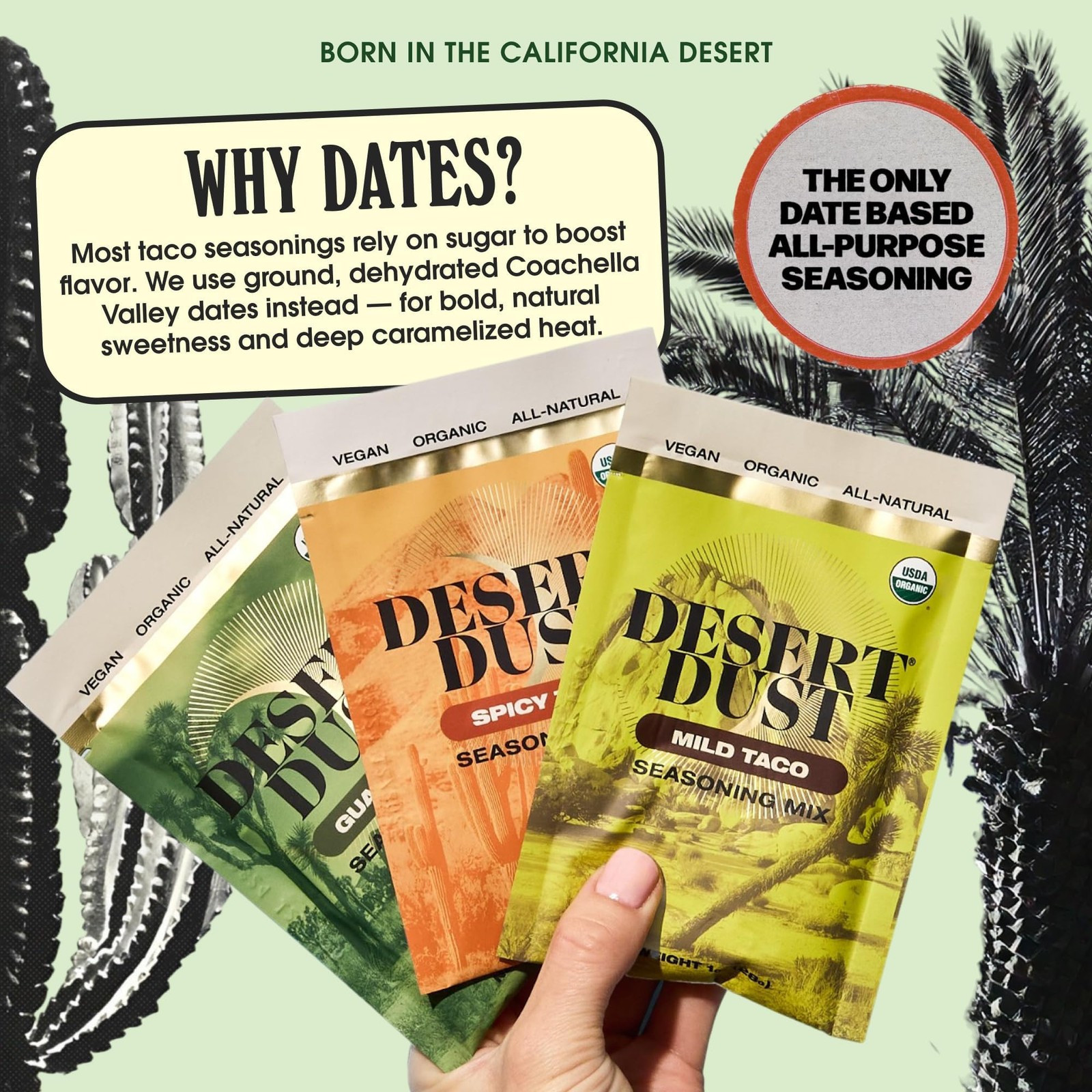 Desert Dust Mild Taco Seasoning | Organic, Gluten-Free, Vegan | All-Natural T…