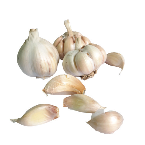 HEIRLOOM GARLIC BULBS WHOLE UNPEELED Sri Lankan Organic Fresh Quality 250g NEW