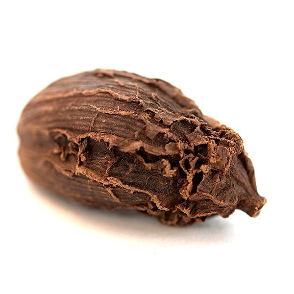 Cardamom Pods, Black | Bulk | Spice Jungle
