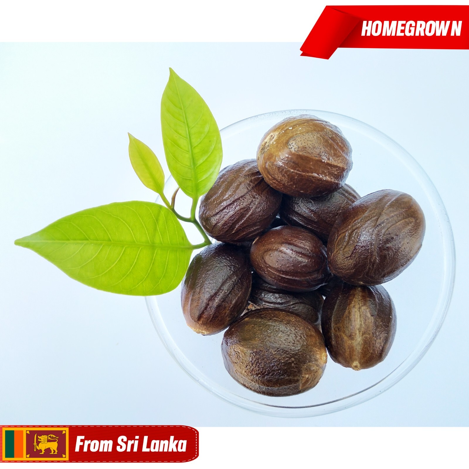 Sri Lankan Homegrown, Organic, Premium quality whole Nutmeg with shell,50g/100g