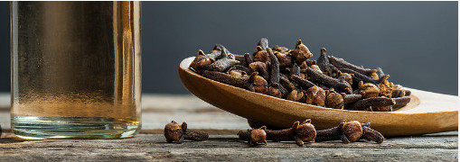 Ceylon Sun Dried Whole Cloves Buds Spices Pure Natural Herb Organic