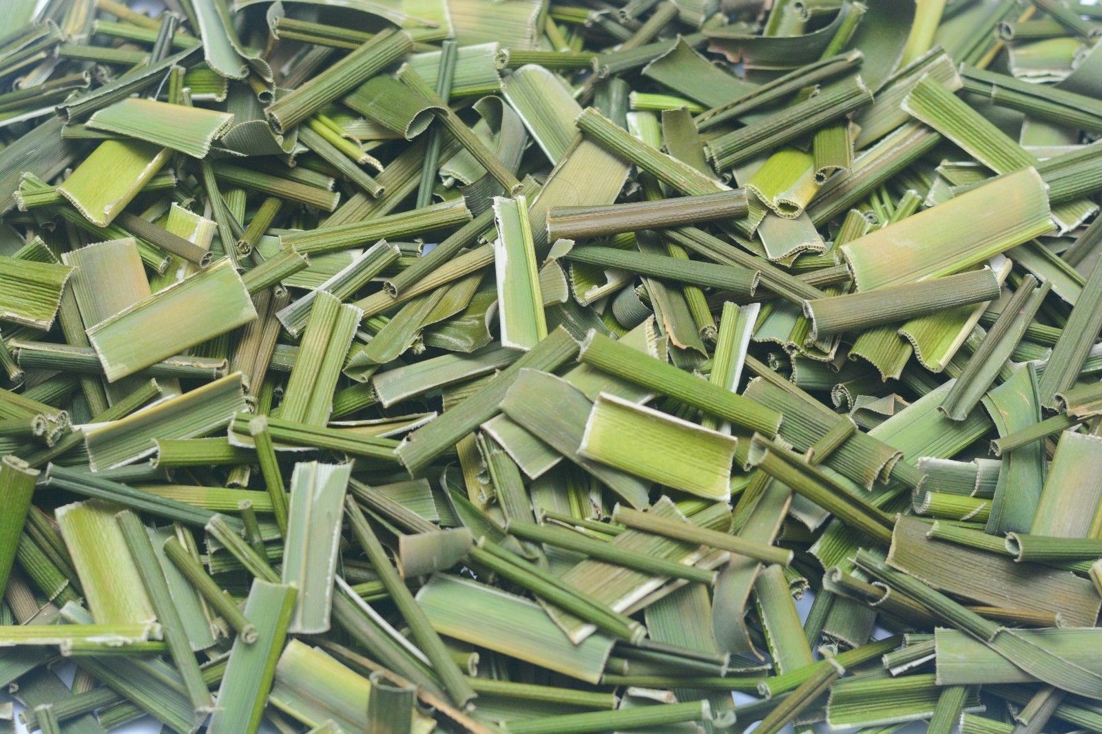 Organic Pure Dehydration Dried Pandan Leaf Quality Ceylon Spices 100g