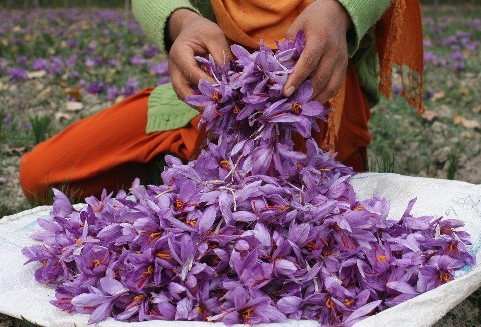 Original Kashmiri Saffron from Baby Brand- 1 gm fast free ship