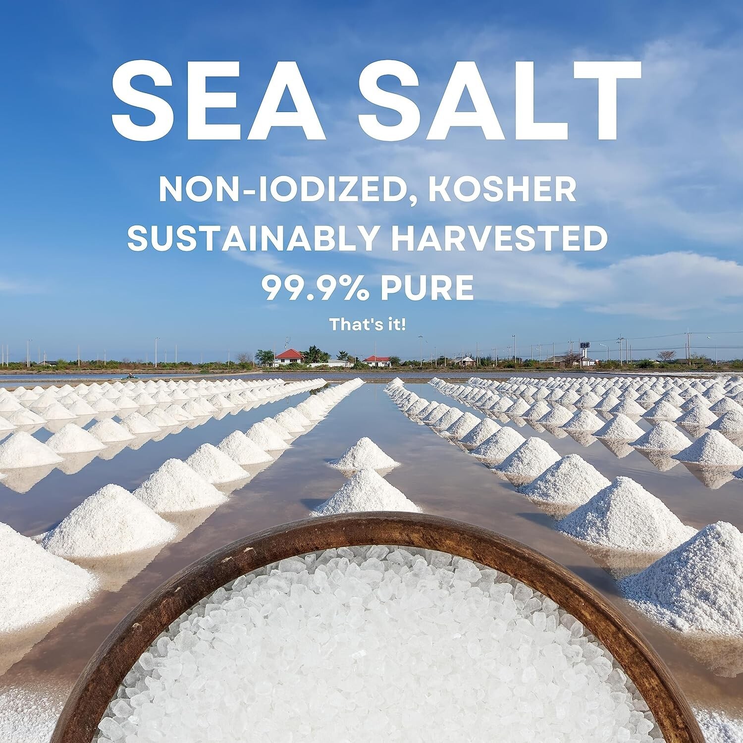 Sea Salt, Coarse Grain Baja Sea Salt, Great for Cooking or Grinding, Non-Iodized
