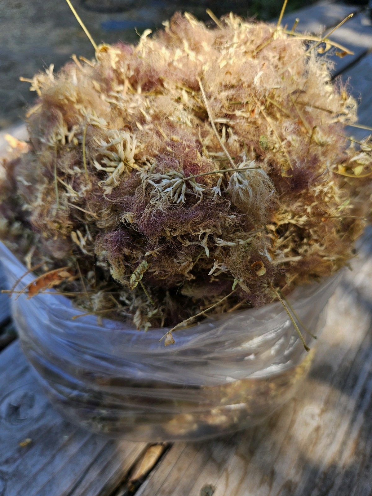 Dried Silk Mimosa Tree Fragarant Pink Flowers Tea Tincture Albizia Julibrissin