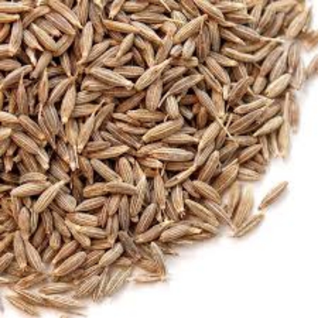 Cumin Whole Seeds Good Quality Natural 100% Organic
