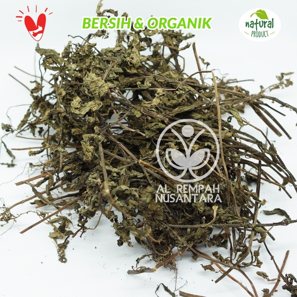 Mint Dried Leaves 100g Botanical Ingredient Craft Blending Aromatic Pantry Ready