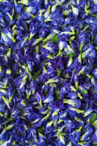 Blue Butterfly Pea Flowers Organic Pure Clitoria Ternatea Healthy Natural Drink