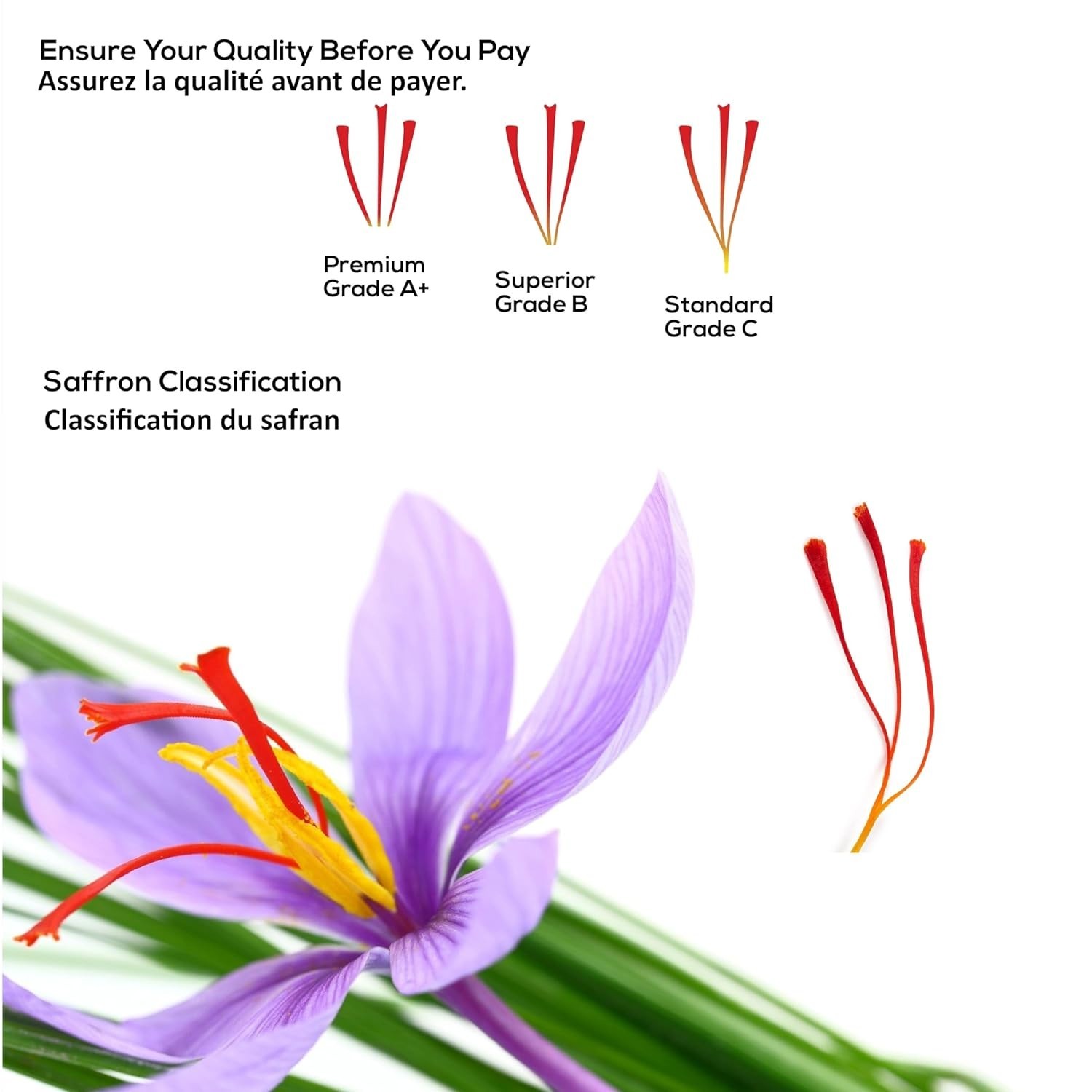 Organic 0.035 Ounce Saffron Threads | Pure, Gluten-Free, Gourmet Spice