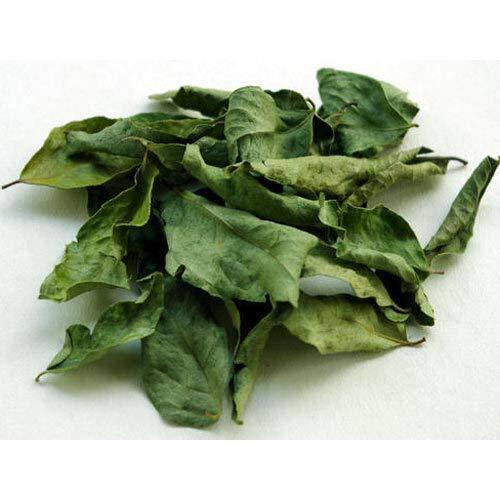 100% Natural Curry Leaves Food Flavoring and Herbal Tea organic 100g