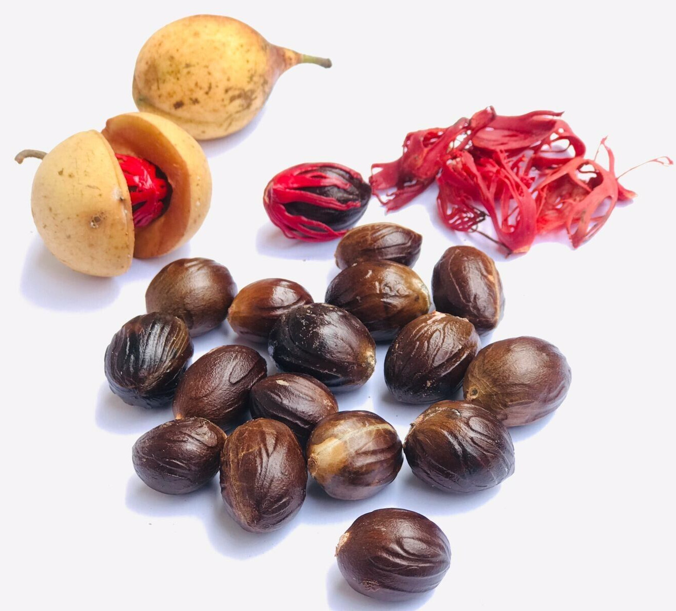 Whole Nutmeg With Shell High Quality Spices Cooking Seasoning 100% Ceylon Herbs