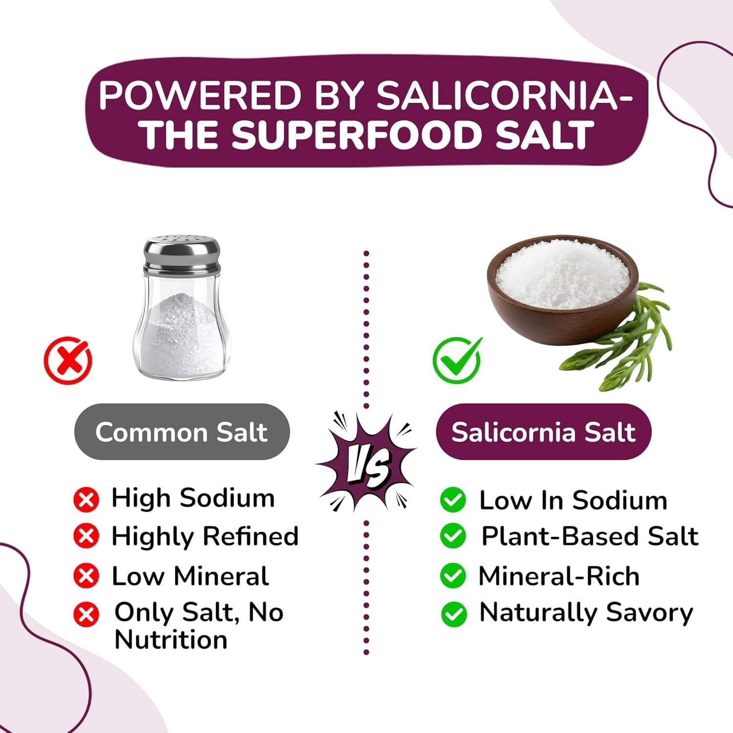 SaltWise Low Sodium Spiced Onion Salt Seasoning – Plant-Based Salicornia Salt,