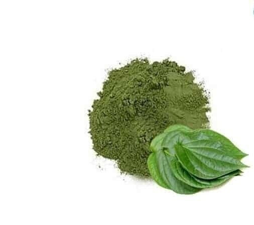 Ceylon Betel Leaves Pure 100% Herbal Healthy Organic Natural Fresh Dried Piper.