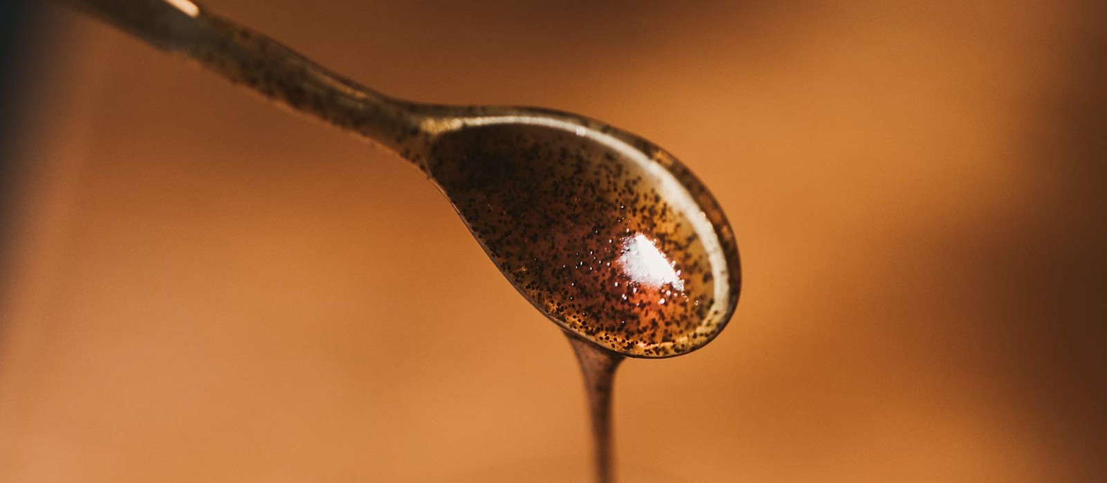 Vanilla Bean Paste for Baking and Cooking – Gourmet Madagascar Bourbon Blend …