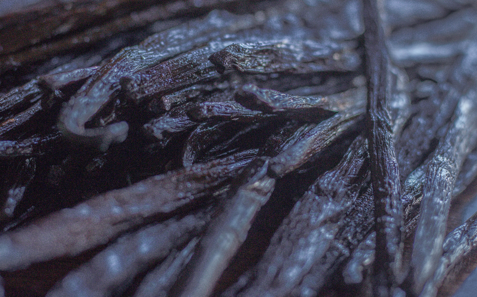 1 LB Tahitian Vanilla Beans Grade B, Whole Beans for Baking and Extract Making