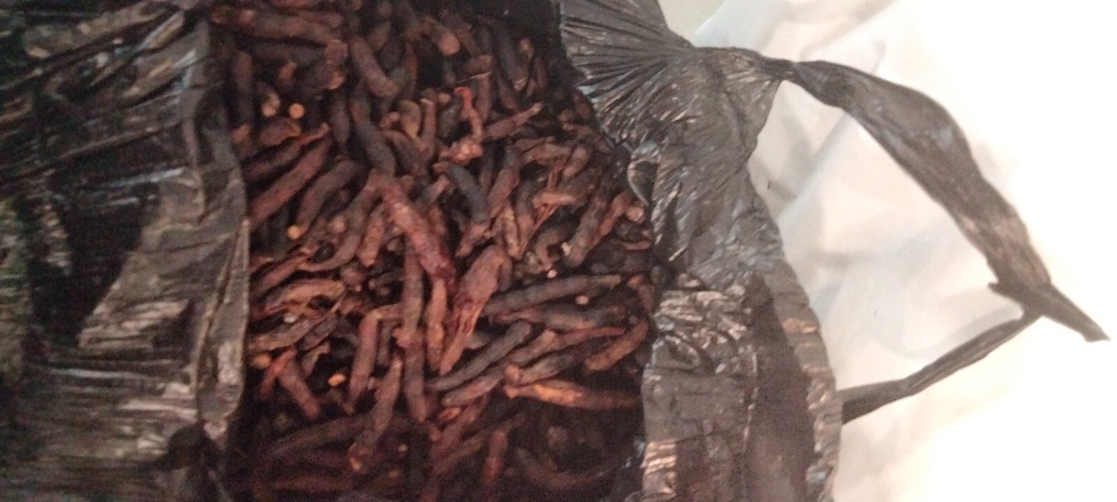 Selim pepper,African dry pepper,Uda,Ganifin,Xylopia Aethiopica,Negro pepper 3oz