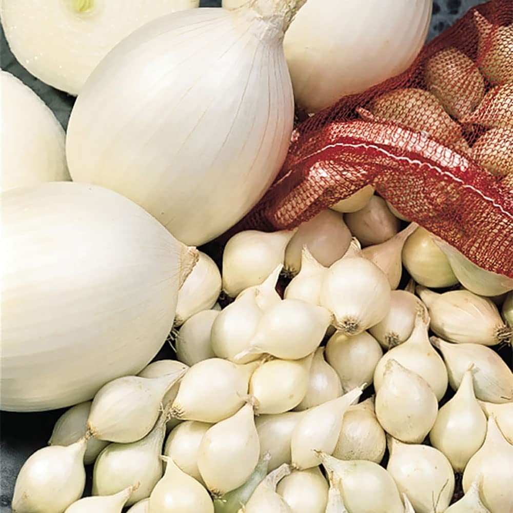White Onion Starter Kit – Grow Green Table Onions & Large Dry Onions – 2 lbs
