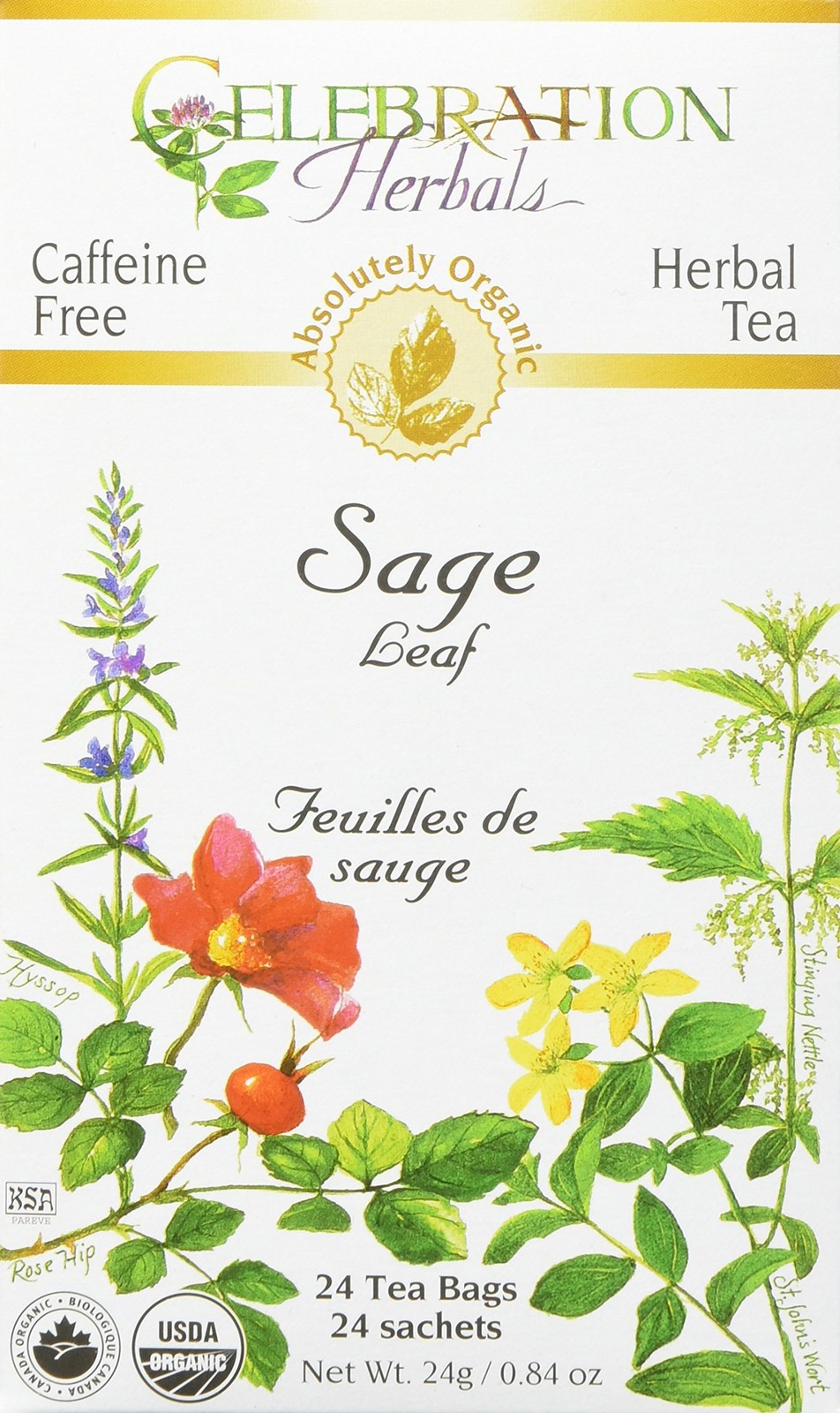 Celebration Herbals Sage Leaf Tea 24 Bags, Pack of 1 24 Count (Pack 1)
