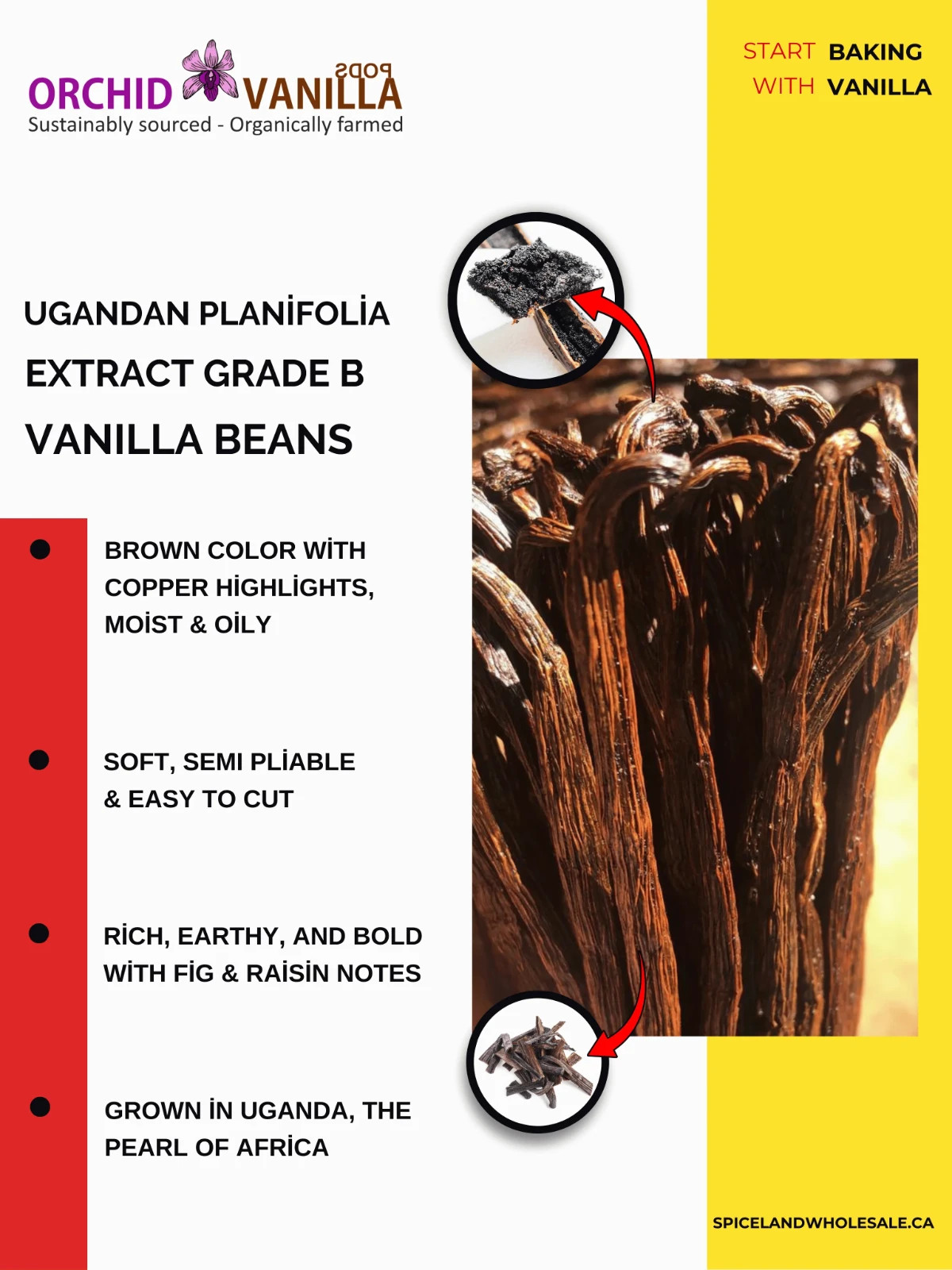Vanilla Beans Ugandan Grade B Extract Quality 5-7″ by Ounce