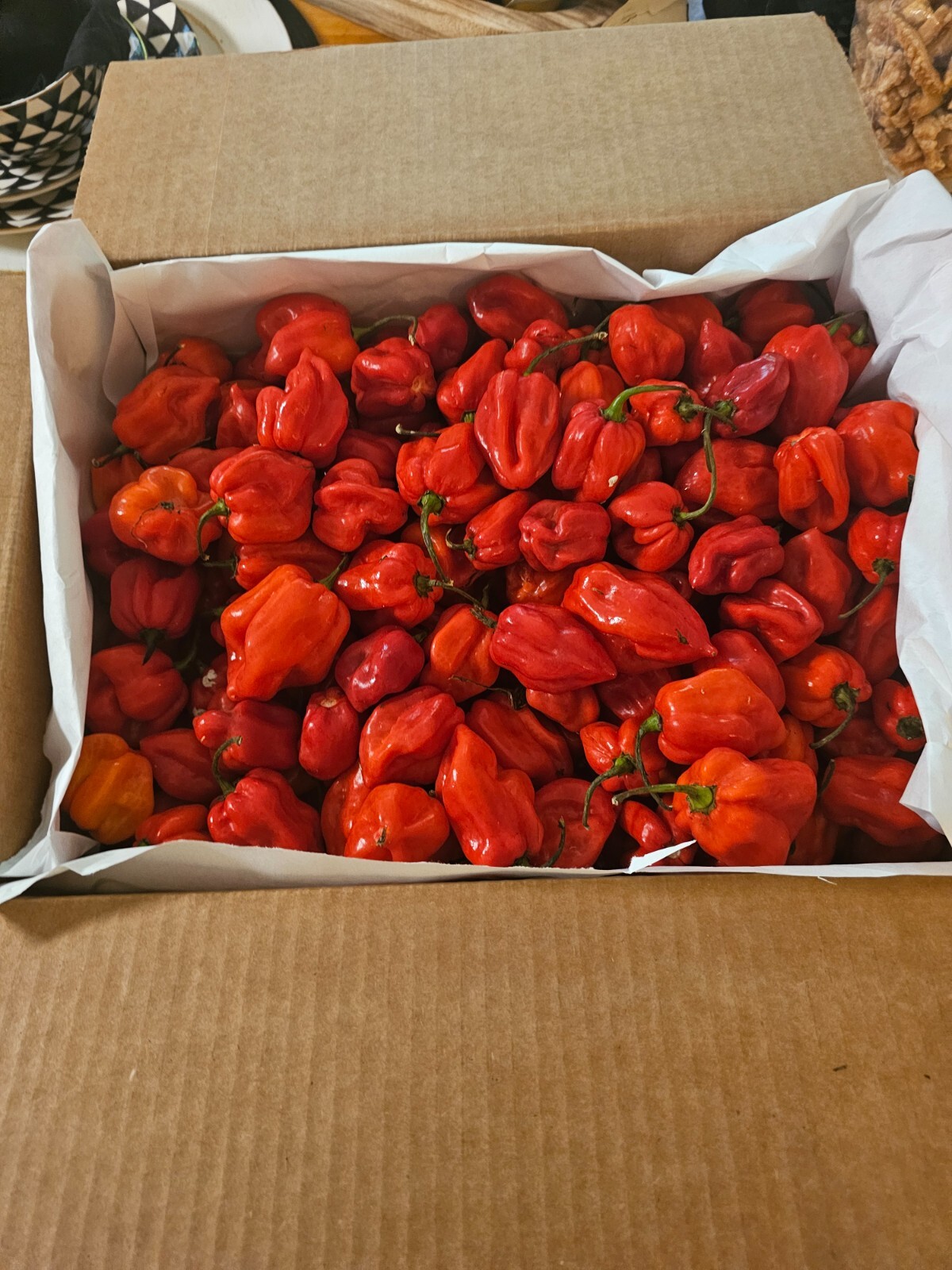 8 Pound Fresh Red Habanero Chili Peppers