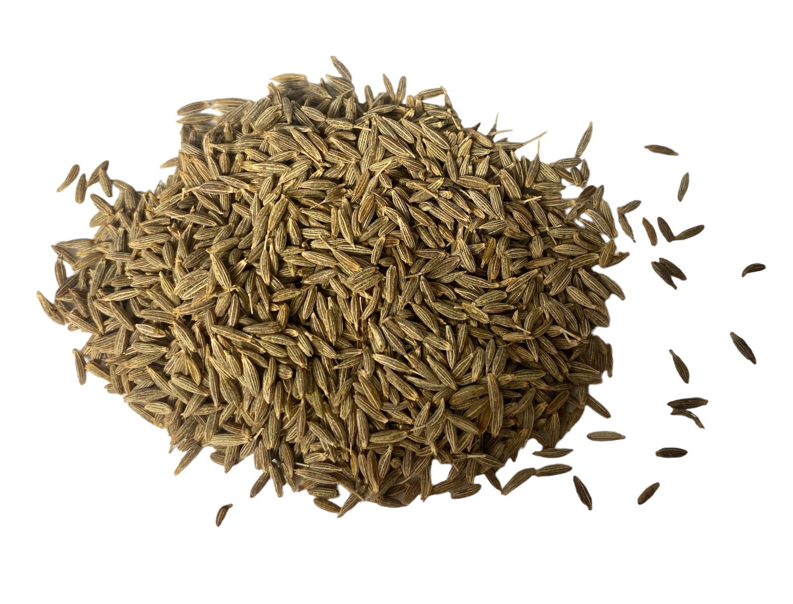 Eleganceinlife Regal Cumin Seeds NET WT 6 oz (170g) made in USA, Gluten-Free