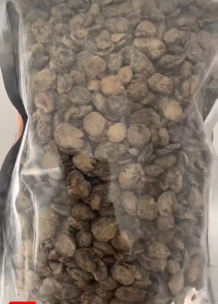 Organic African Locust Beans Dawadawa