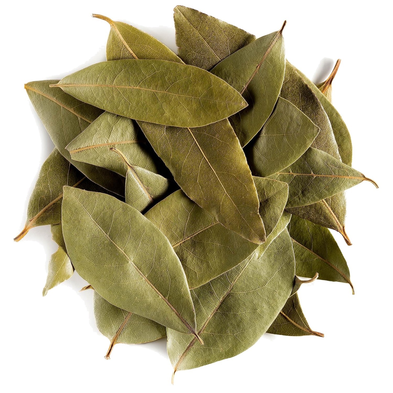 Organic Bay Leaf Herb – Culinary Quality