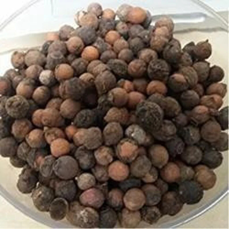 White Sandalwood Seeds White Chandan Seeds Indian sandalwood,Fragrant sandalwood