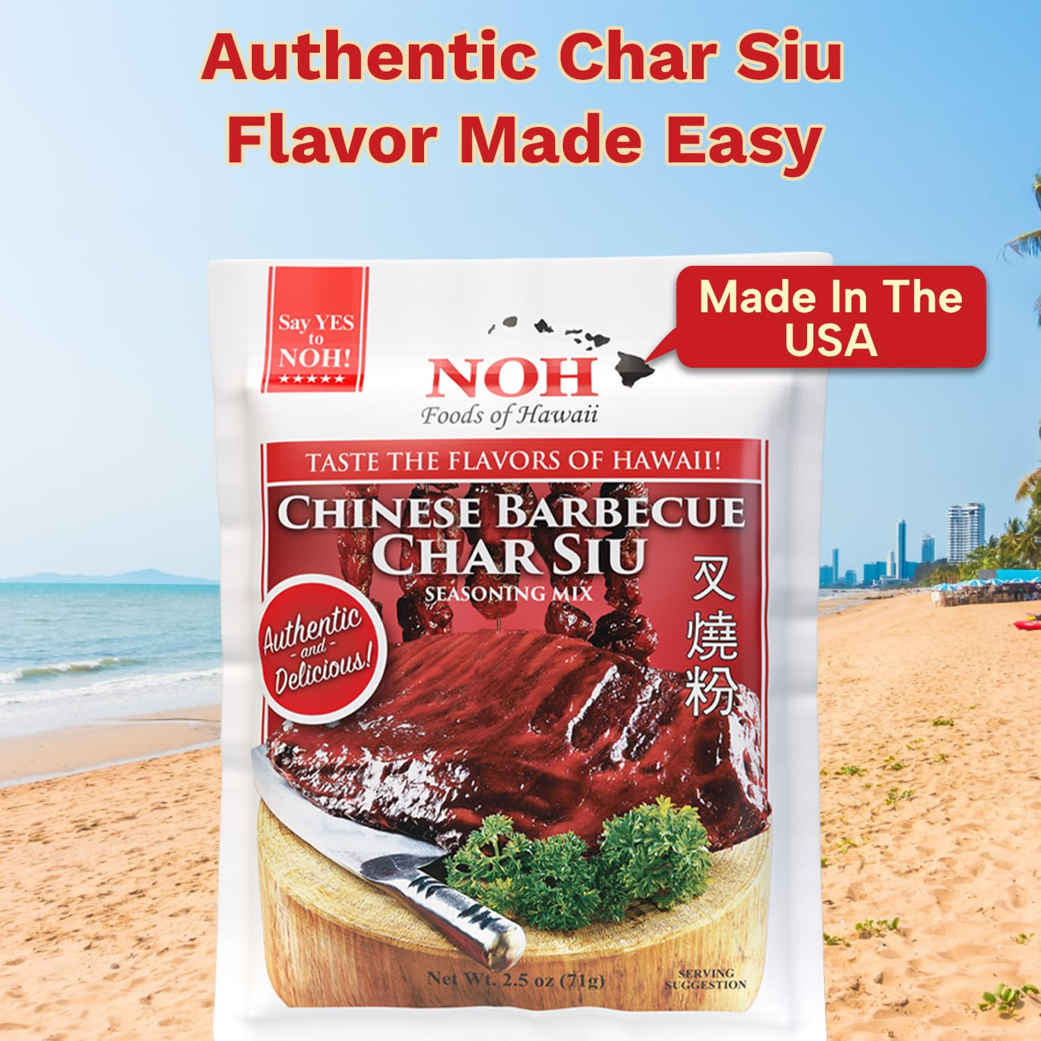 Chinese Barbecue Char Siu Seasoning Mix, 2.5 Oz Packet – Authentic Chinese