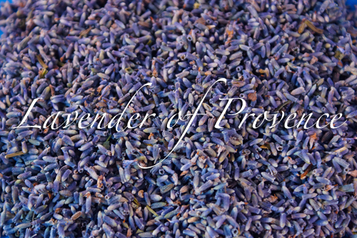 Lavender of Provence organic culinary cooking edible dried flower buds 3 4 6 8oz