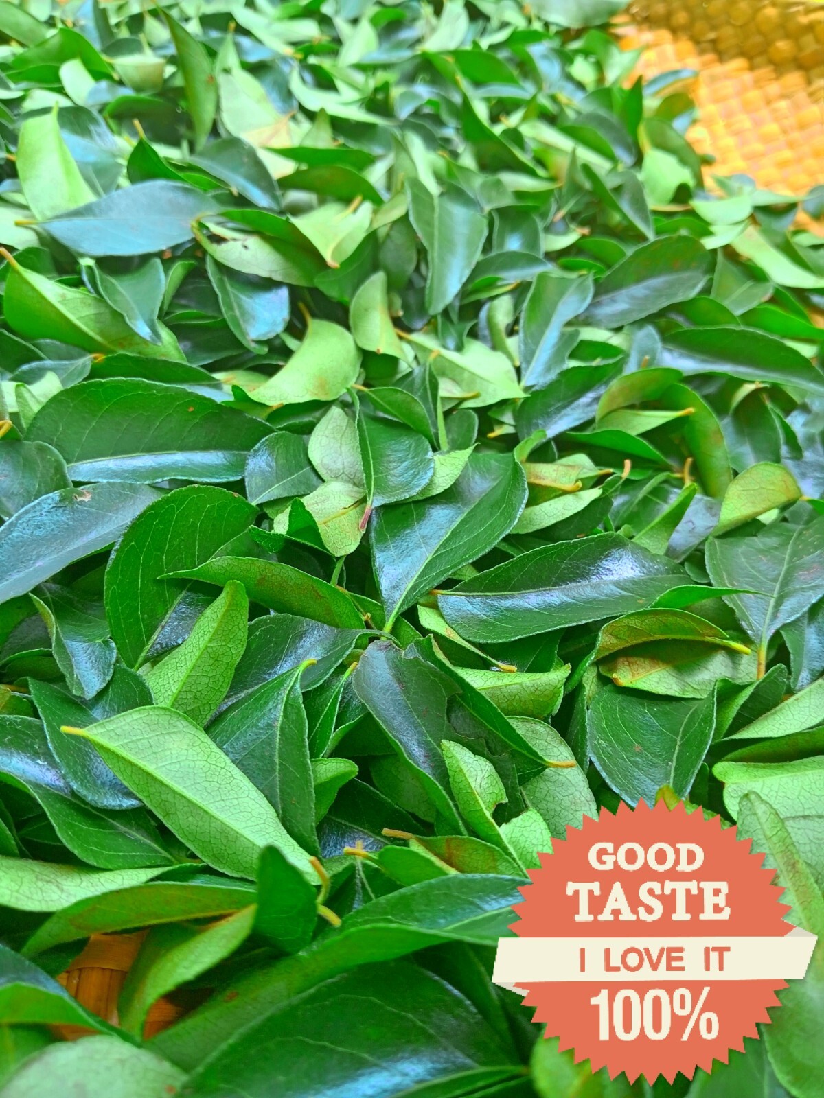Dried curry leaves Powder | Karapincha leaves 100% Organic 🇱🇰 Original Product