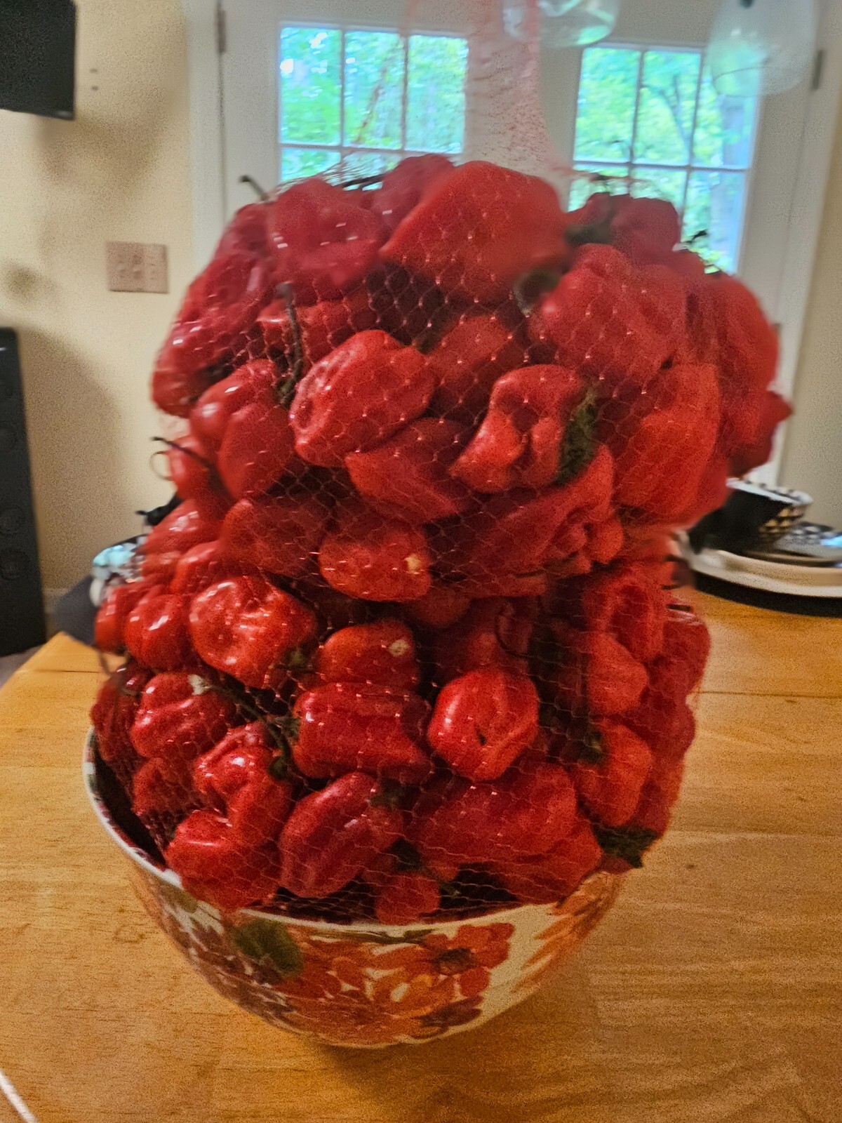 8 Pound Fresh Red Habanero Chili Peppers