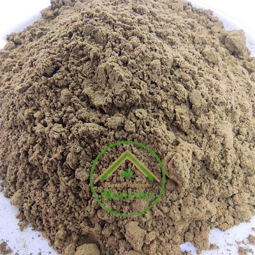 Guazuma ulmifolia Leaf Powder 100g – Indonesian Herbal Tea Ingredient, Natural