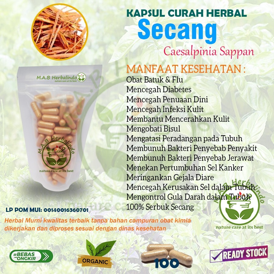 LEMONGRASS Capsules Natural Organic Herbs Spices Fresh Pure Hygienic Premium