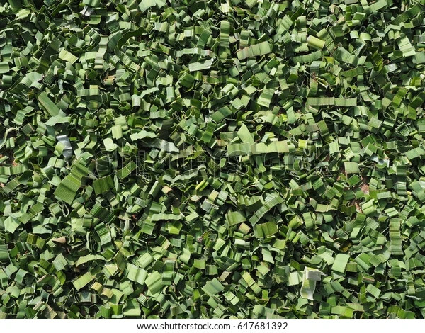 Pandan Leaves Rampe Natural Organic Sun Dried Spice Ceylon 100% Pure Pandanus