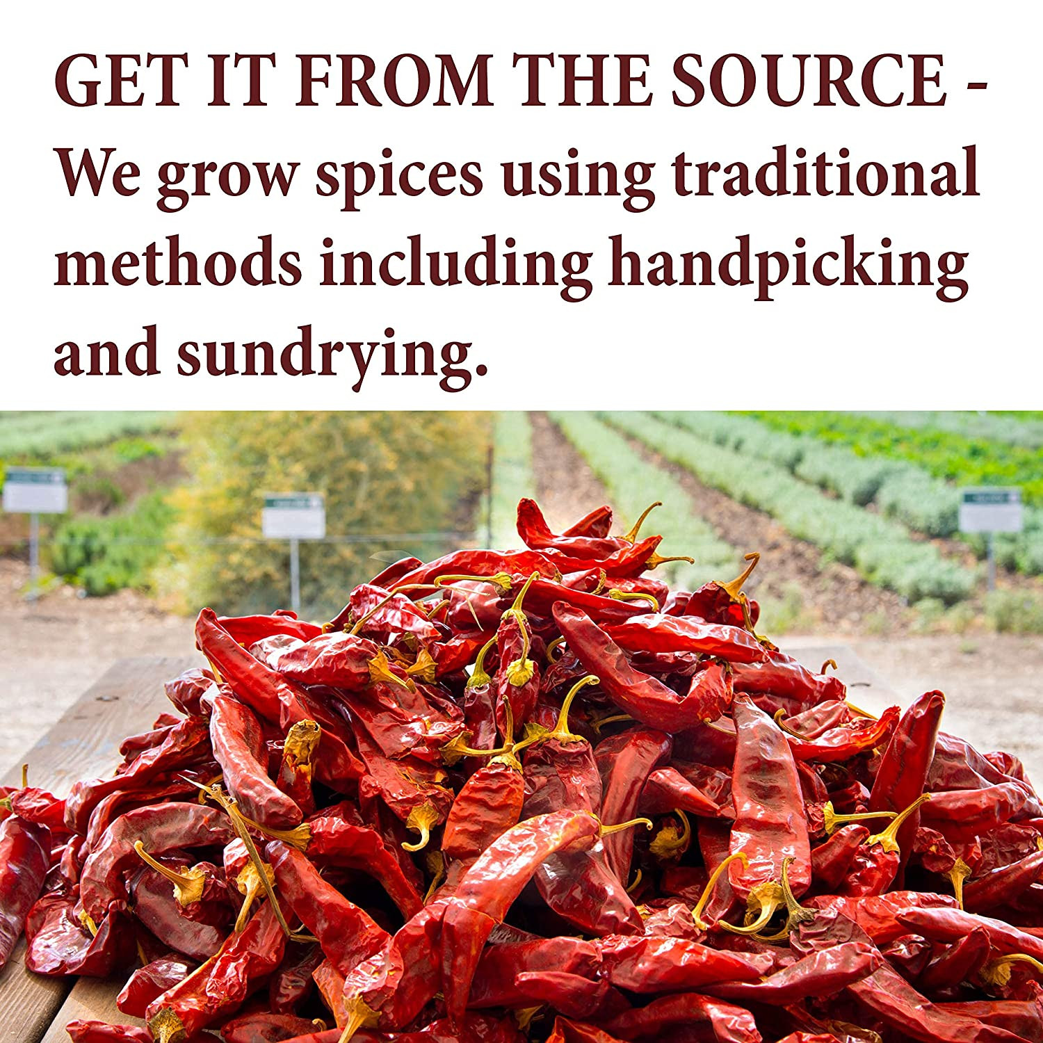 The Spice Way Ground Cumin – Powder Made from Premium Whole Cumin Seeds 4 Oz