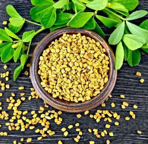 Fenugreek /Methi One of the Indian Masala/spices that make your Food tastier
