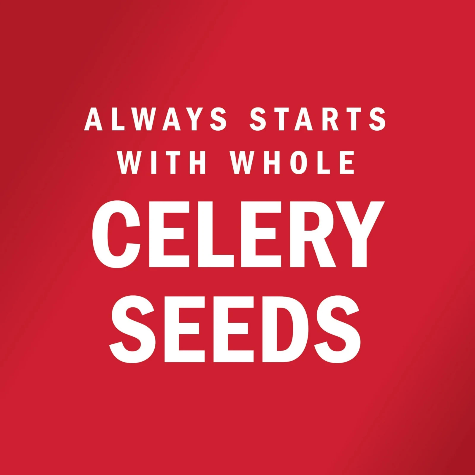 (Pack of 2) MCCORMICK Celery Salt New sealed Container 4 Oz each