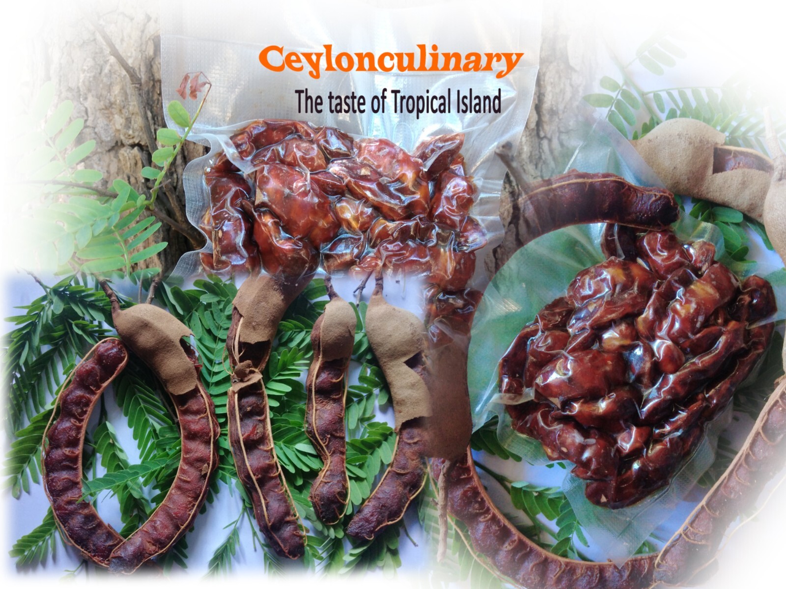 Tropical Tasty Pure Organic Ceylon Tamarind Paste with Seeds.