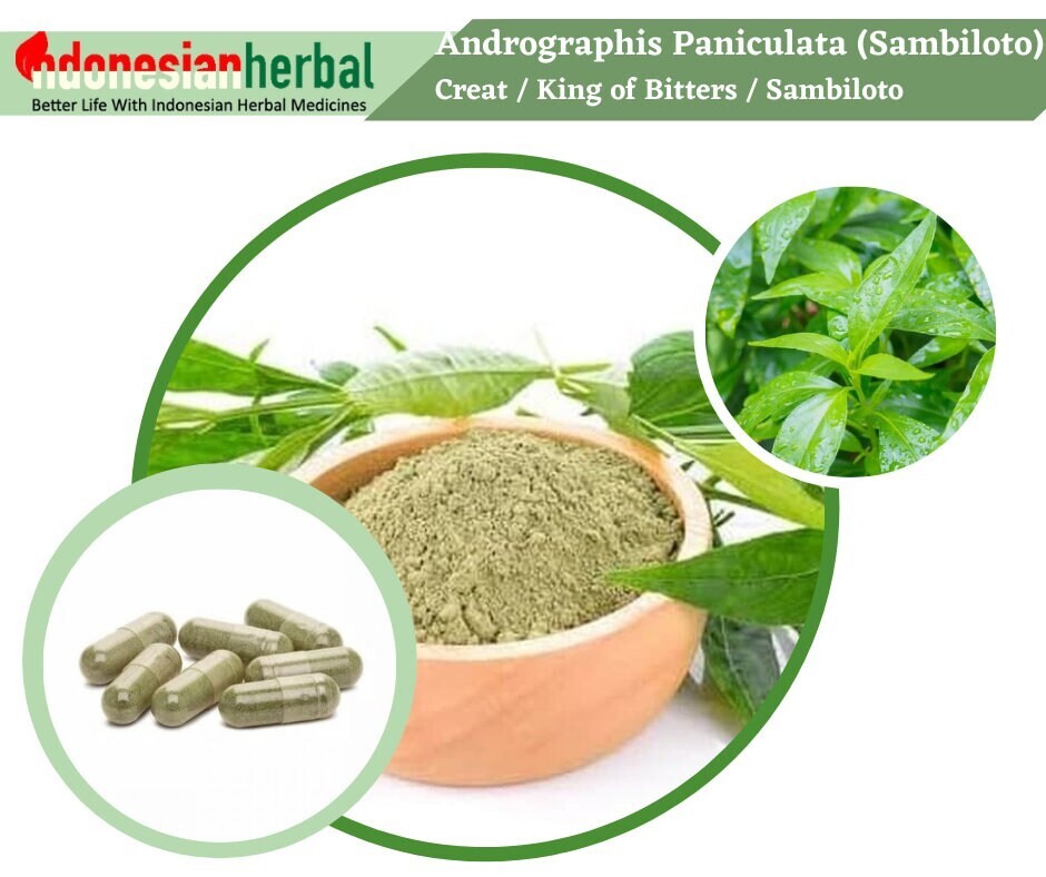 Capsules Andrographis Paniculata Green Chirayta Creat King of Bitters Sambiloto