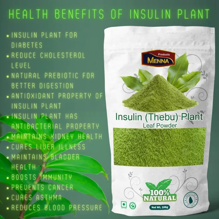 Organic Dried Insulin Plant Leaf Powder Best Quality From Ceylon