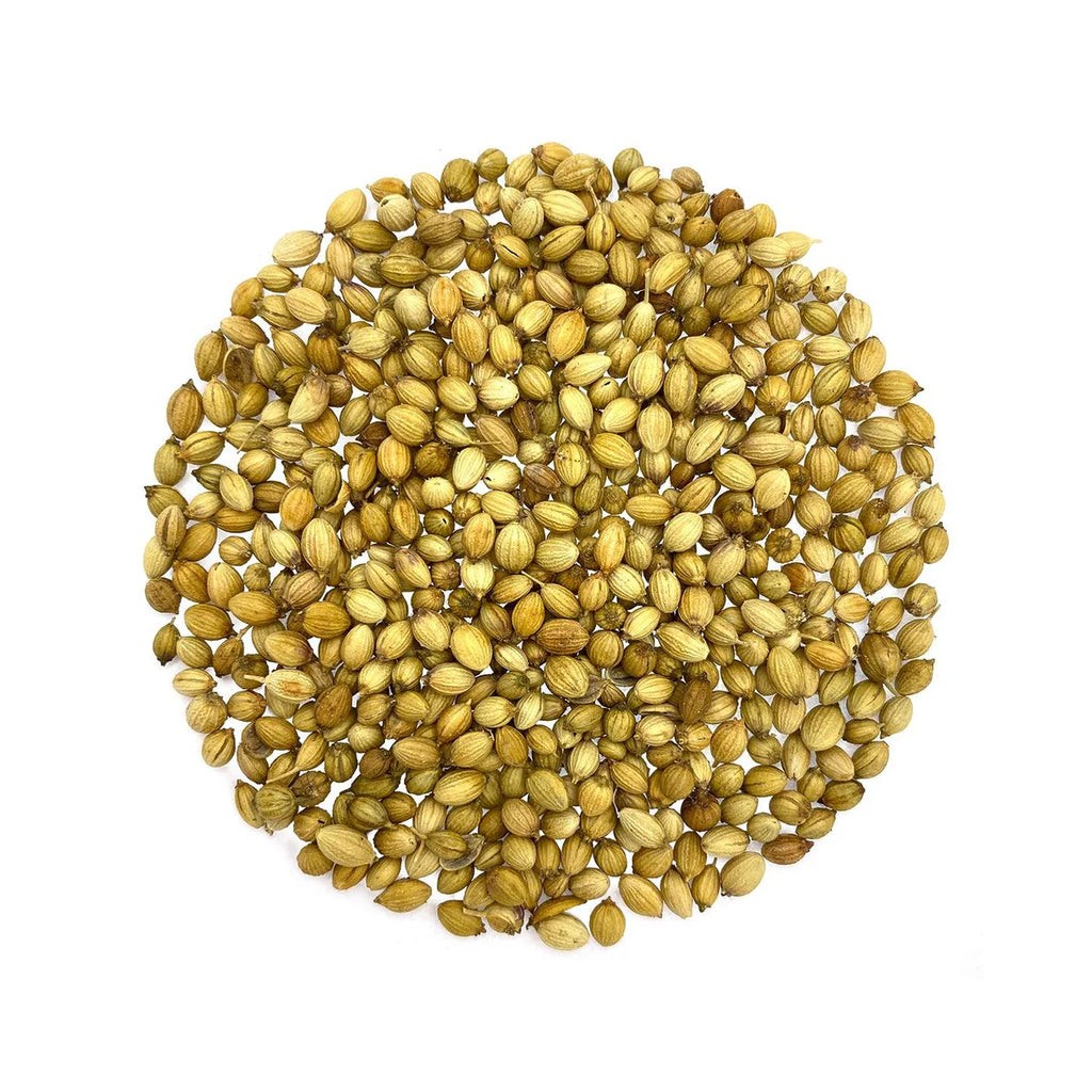 Aiva Coriander Seeds (Sabut Dhaniya) | 14 oz (Pack of 20)