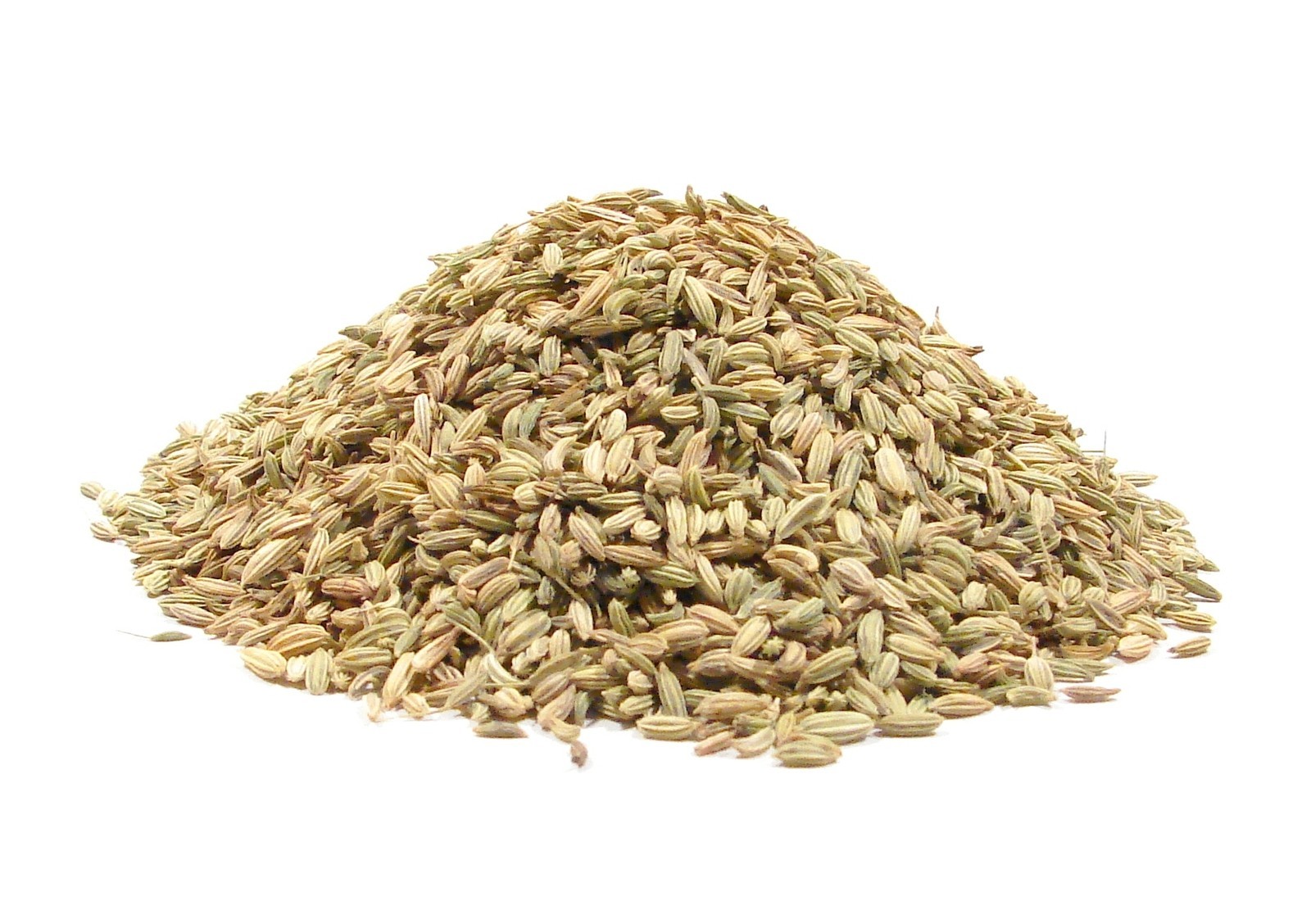 Fennel Spice, Whole Dried Seed, Classic Fresh Burst Flavor Bulk – 1 Pound Bag