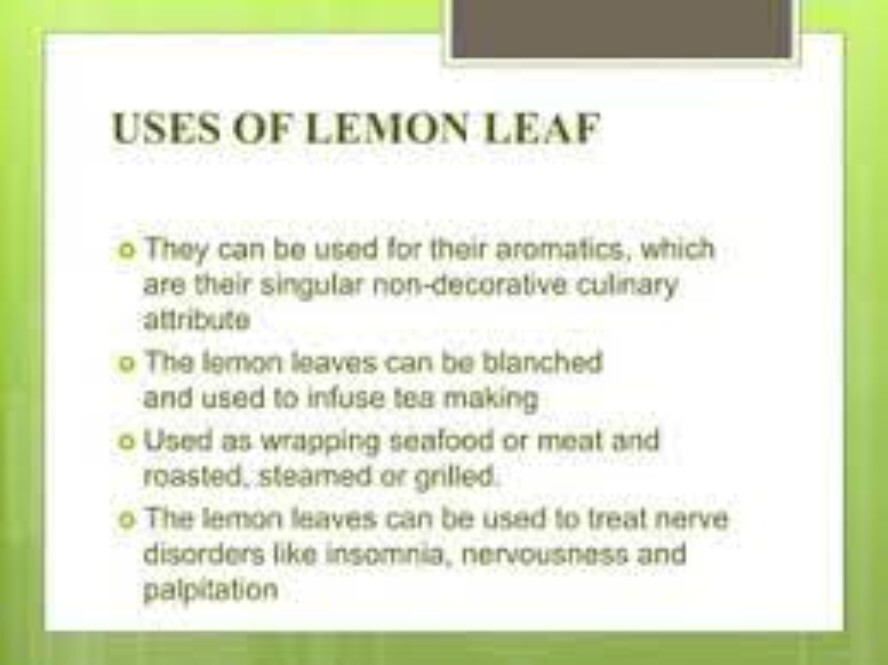 Dried Lemon Leaves 100% Pure Natural Organic Ceylon Herbal Fresh Healthy