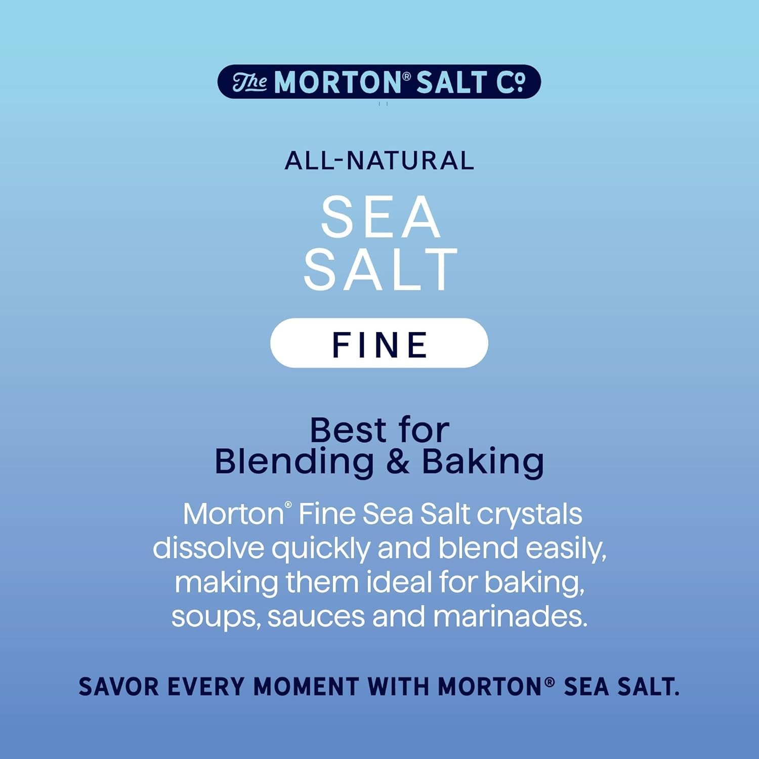 Morton Sea Salt Fine Grain, Salt, 1 lb., Pouch 16 Ounce (Pack of 1)