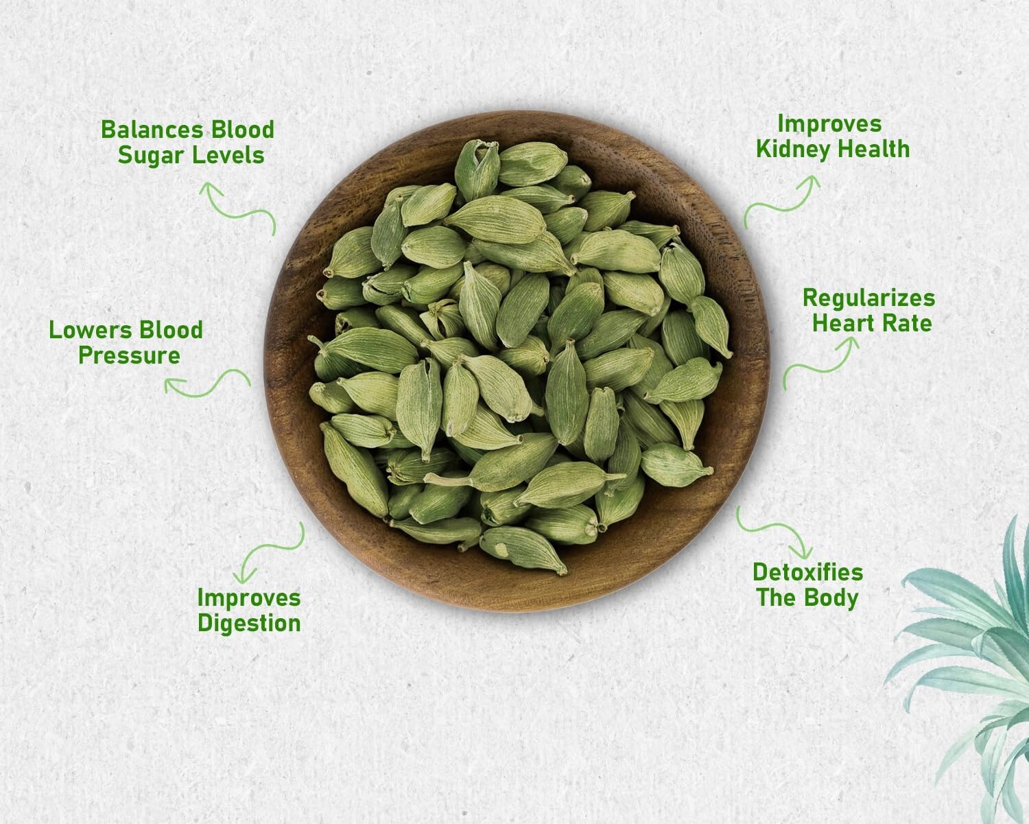 Green Cardamom Indian Organic Spices Hari Elaichi Natural Dried Spice Pure Herbs