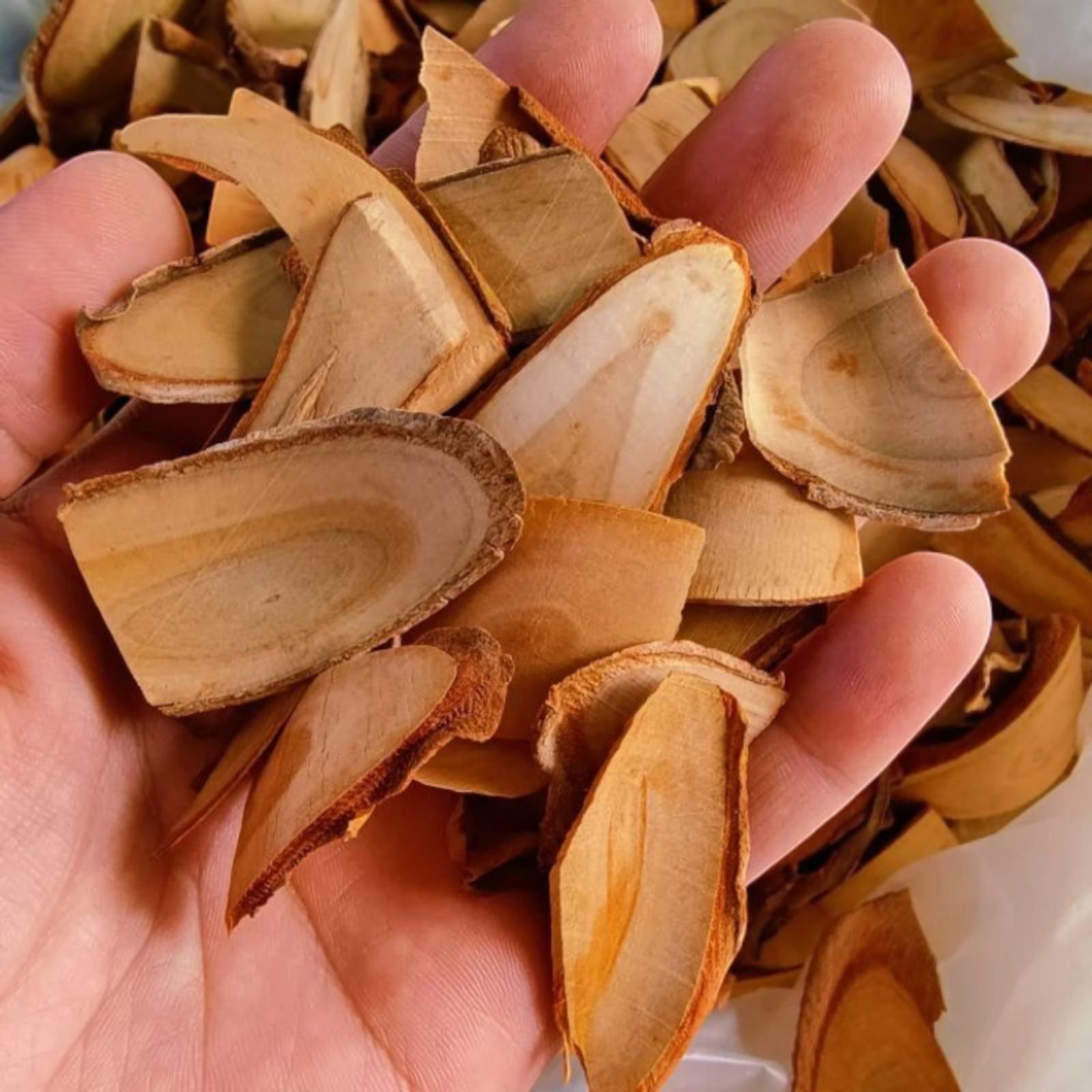 Wild Malaysian Red Longjack Root Slices | 100% Natural Herbal Tea