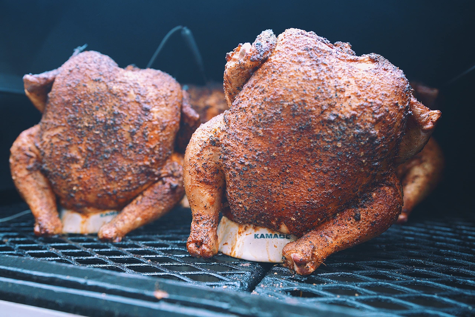 Kosmos Q Dirty Bird BBQ Rub 11oz Spicy Sweet Meat Seasoning for Grilling
